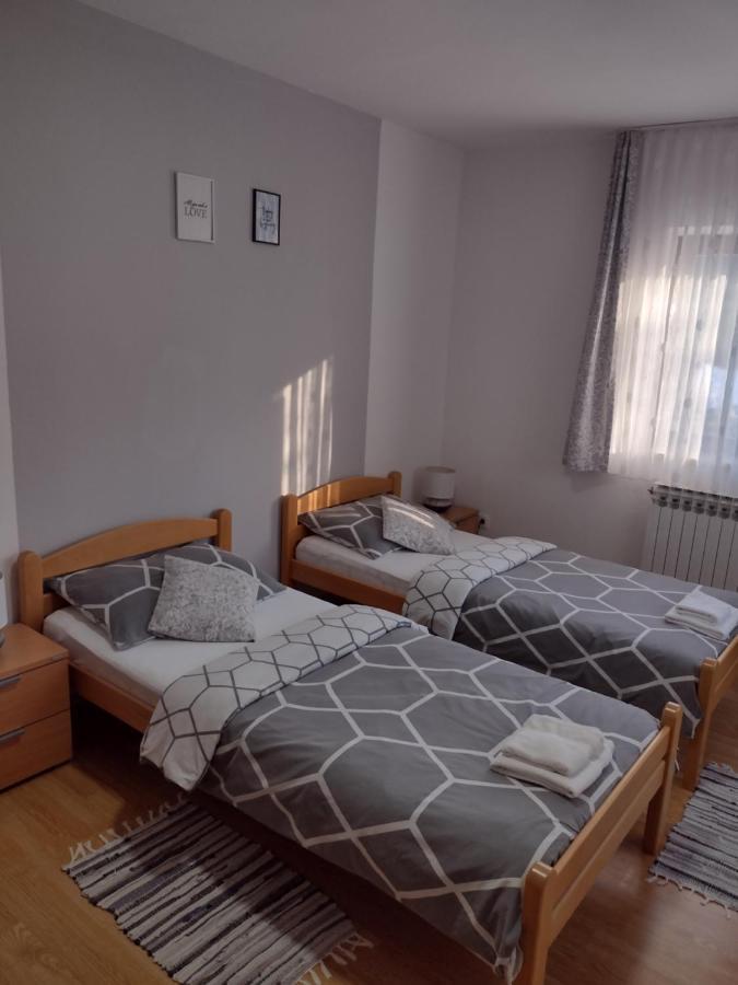 Apartment Petra I Nikola Seliste Dreznicko Exterior foto