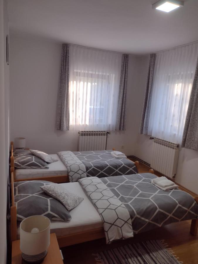 Apartment Petra I Nikola Seliste Dreznicko Exterior foto