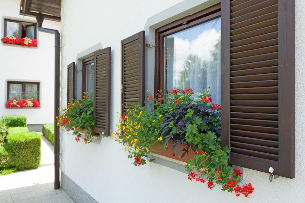 Apartment Petra I Nikola Seliste Dreznicko Exterior foto