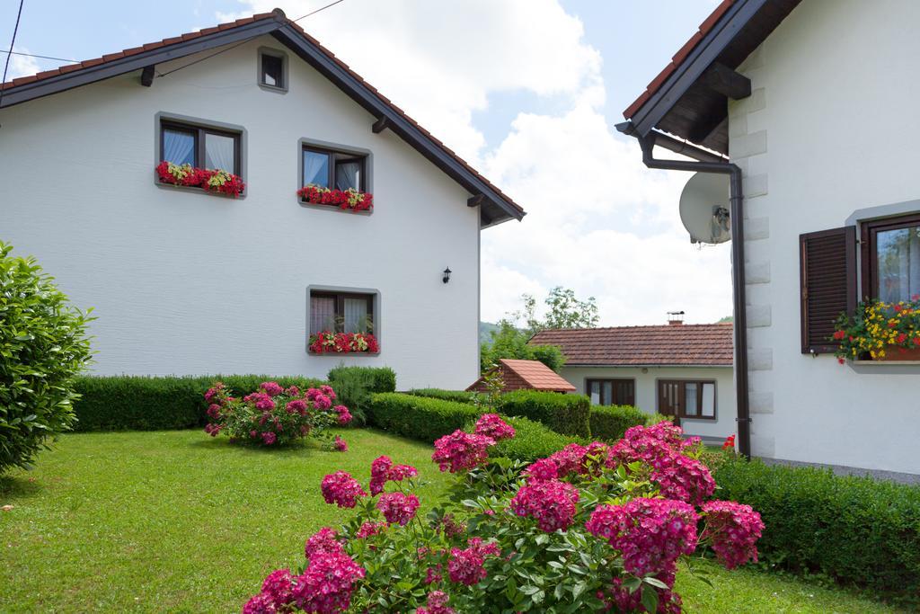 Apartment Petra I Nikola Seliste Dreznicko Exterior foto